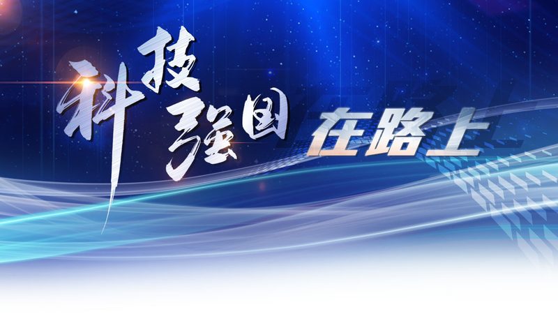 供应链管理论文选题：如何选择合适的研究方向**